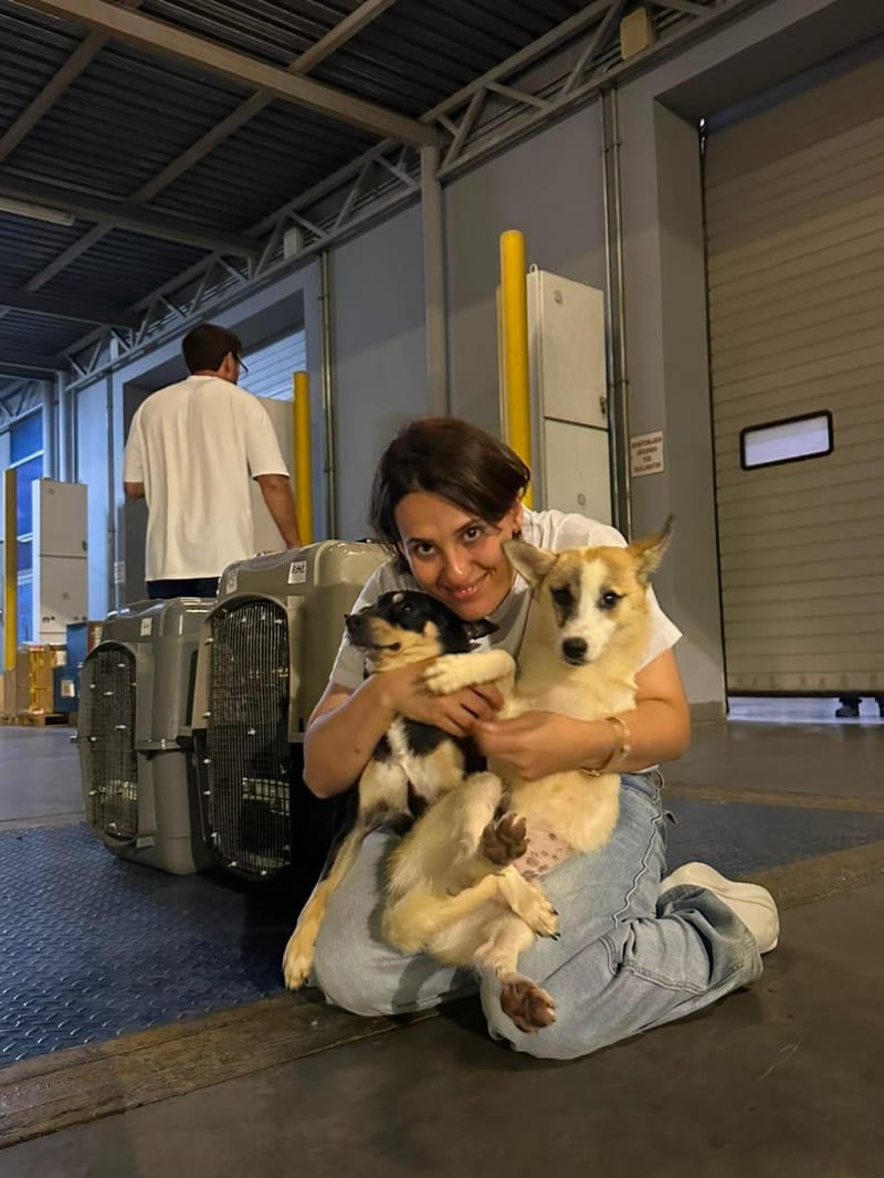 Stella and Tasha Are in Canada!