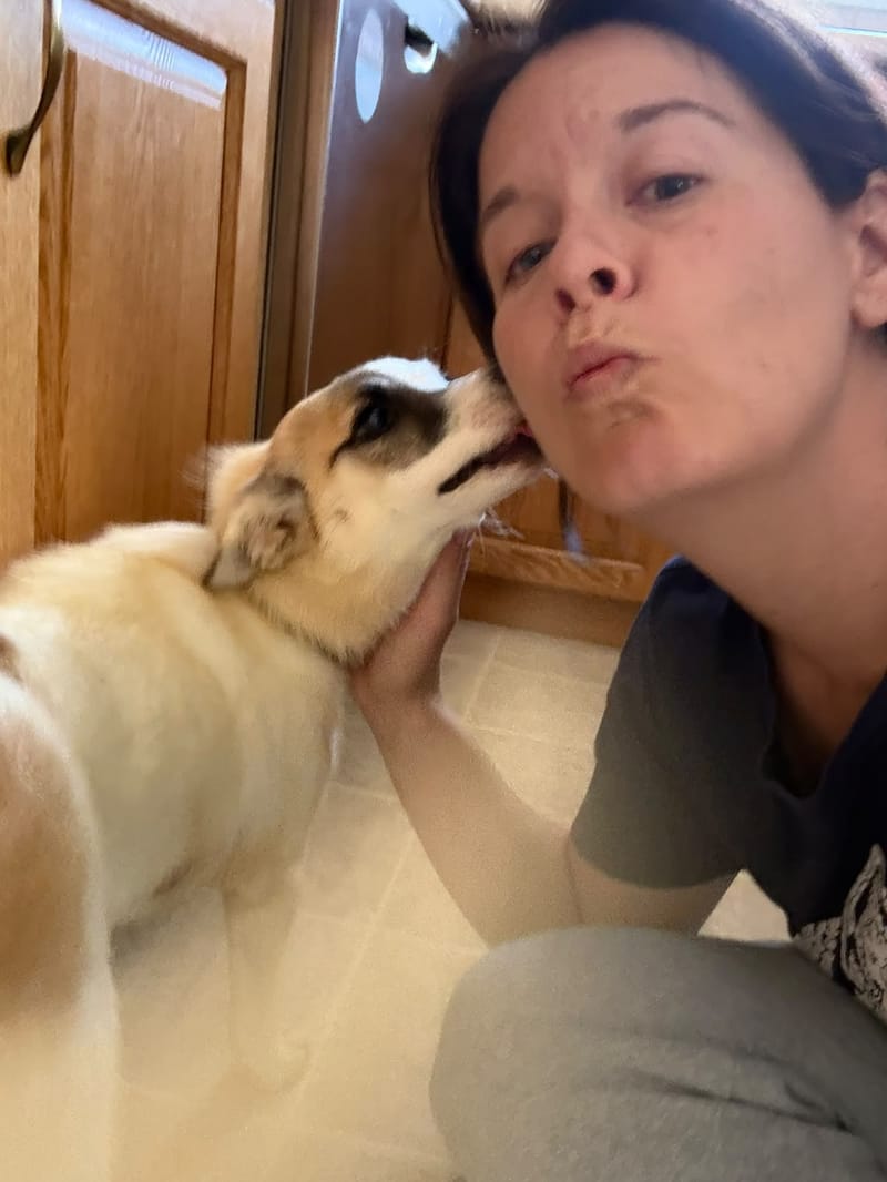 Stella and Tasha Are in Canada!