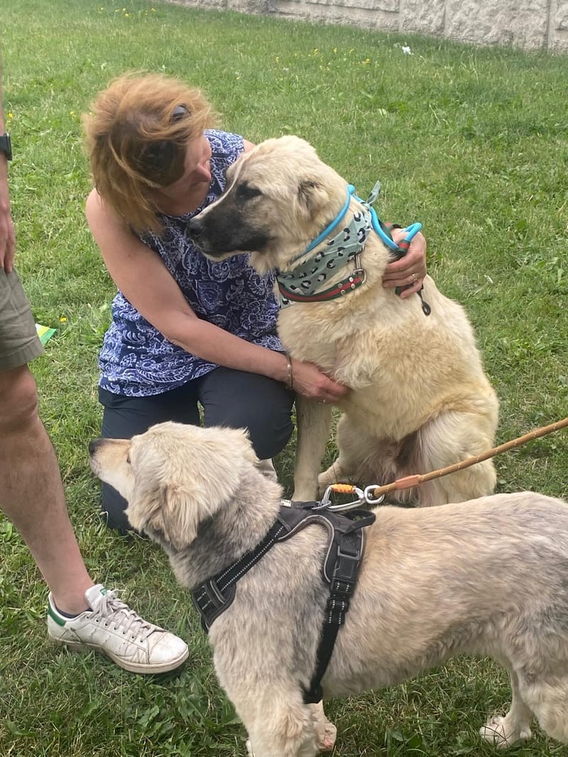 Hugo, Mika and Rosy Are Canadians!