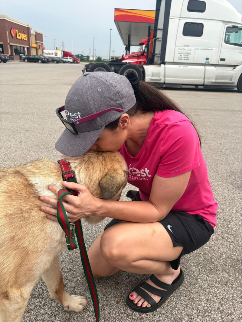 Bruno's Long Journey Home